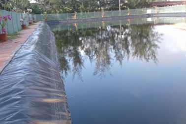 Thanh Hóa: Huy động tiền xây dựng bể bơi rồi... lấp bỏ