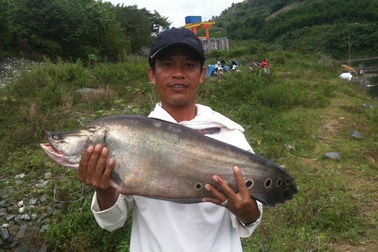 Một cần thủ câu được cá thác lác nặng tới 7 kg