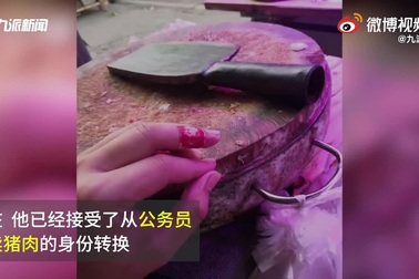 Tốt nghiệp loại ưu đại học danh tiếng, chàng trai về quê bán thịt lợn