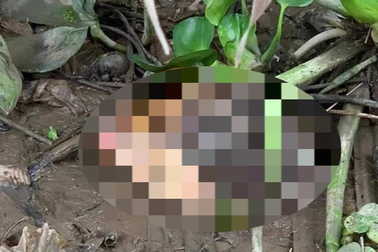 Công an điều tra nghi án giết người rồi phân xác ở Vĩnh Long