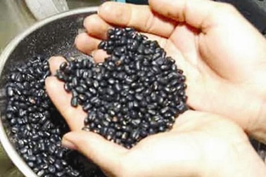 Nhiều người nhập viện vì nuốt đậu đen