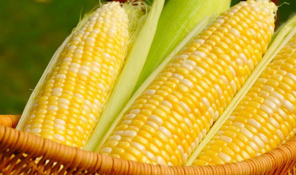 Năm thực phẩm vàng cho dạ dày, ngừa ung thư hiệu quả - 5