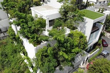 Độc đáo nhà trồng hơn 100 loại cây xanh, vào bên trong như rừng nhiệt đới