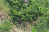 Tiếp tục xử lý 12 điểm có nguy cơ sạt lở trên núi Cấm 