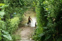 Nước dâng ngập bãi giữa sông Hồng, xóm "bụi" Hà Nội điêu đứng