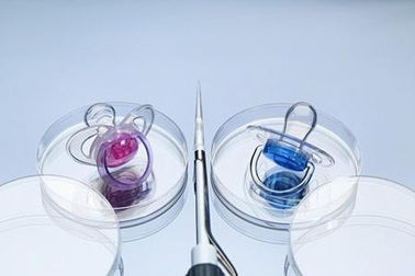 Đi thụ tinh nhân tạo, hai vợ chồng phát hiện là anh em sinh đôi