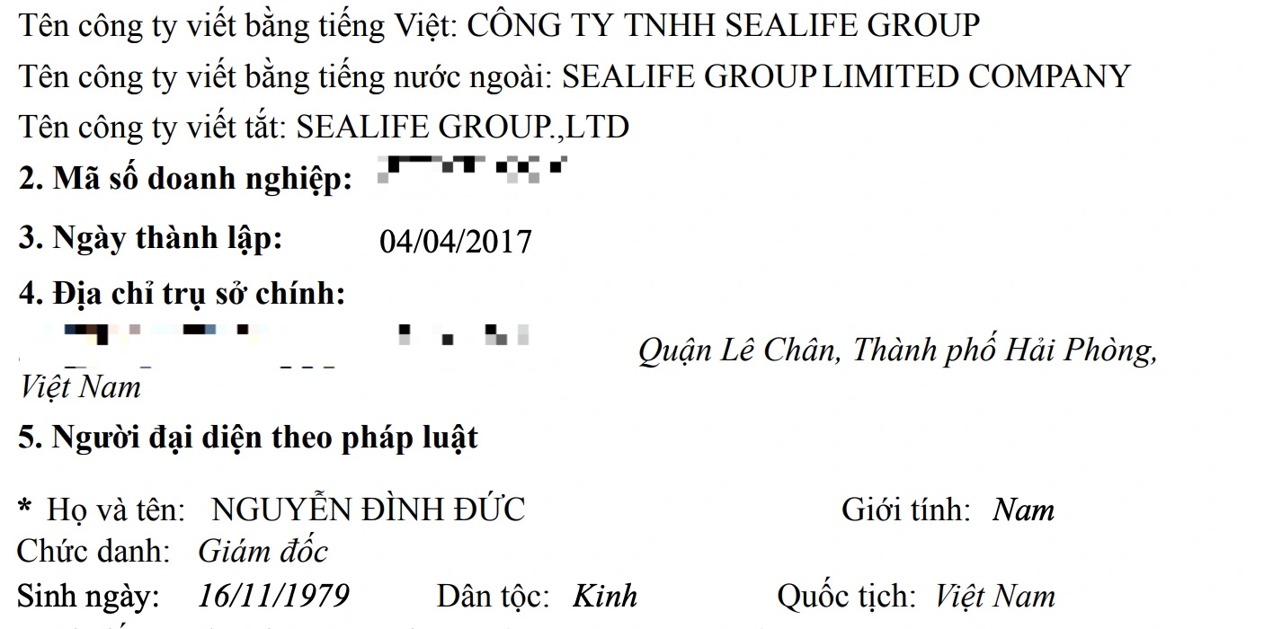 Hồ sơ 2 công ty xin lỗi vì bắn pháo hoa giữa lúc tìm kiếm nạn nhân lật tàu - 1