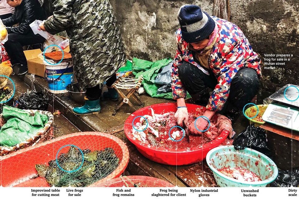 Người Trung Quốc vẫn chưa từ bỏ thói quen nguy hiểm - Ăn động vật hoang dã - 2 Người Trung Quốc vẫn chưa từ bỏ thói quen nguy hiểm - Ăn động vật hoang dã - 2