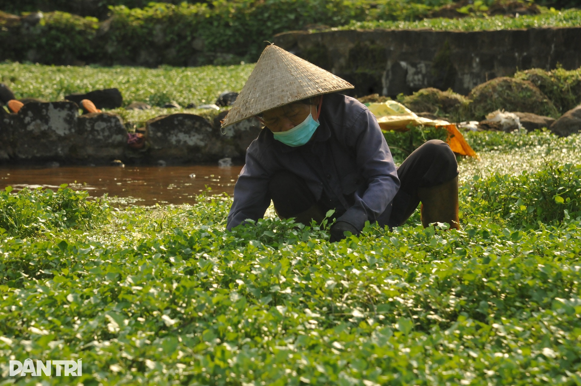 Hệ thống giếng cổ 5.000 năm tuổi có một không hai ở Quảng Trị - 6 Hệ thống giếng cổ 5.000 năm tuổi có một không hai ở Quảng Trị - 6