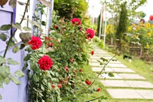 Thư gửi người chồng có "đam mê"... ở bẩn