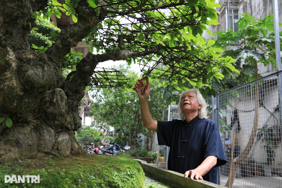 Hà Nội: Bỏ việc về làm vườn, người đàn ông sở hữu nhiều cây độc lạ - 1 Hà Nội: Bỏ việc về làm vườn, người đàn ông sở hữu nhiều cây độc lạ - 1
