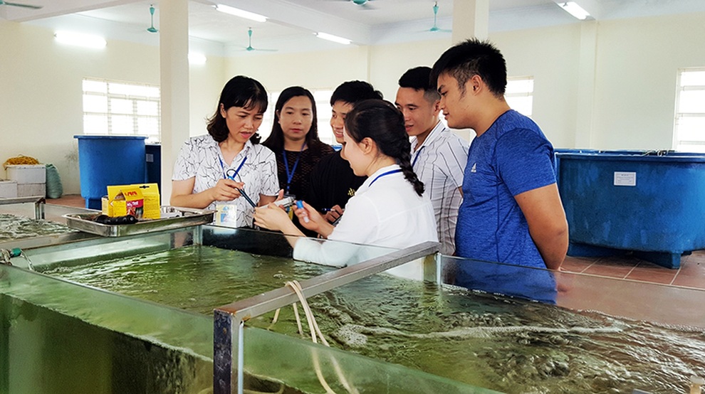 Đào tạo nguồn nhân lực chất lượng cao, cần cơ chế, chính sách đủ mạnh - 3 Đào tạo nguồn nhân lực chất lượng cao, cần cơ chế, chính sách đủ mạnh - 3