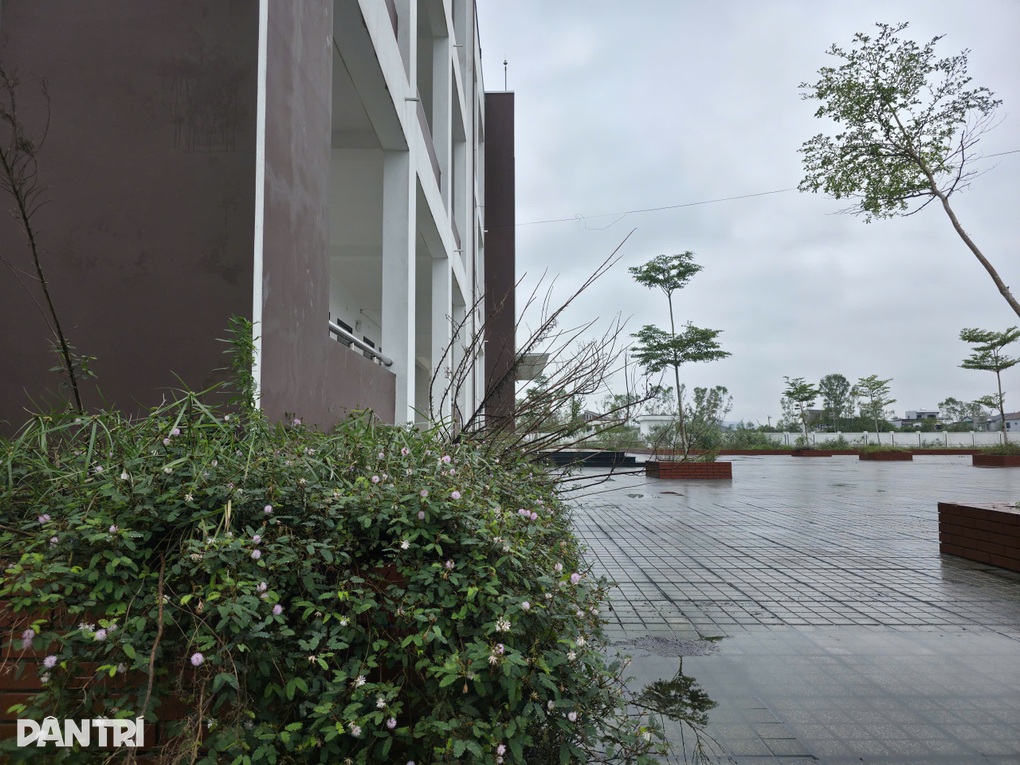 Trường học gần 23 tỷ đồng xây xong bỏ không, hiệu trưởng nói gì? - 3