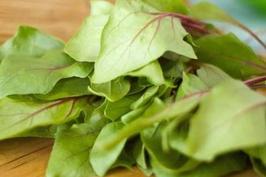 Ăn uống với người hay đau đầu