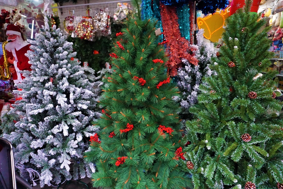 Thị trường Noel tại Đà Nẵng: Cây thông đắt hàng - 3 Thị trường Noel tại Đà Nẵng: Cây thông đắt hàng - 3