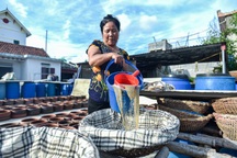 Gia đình 4 đời làm đặc sản "bốc mùi" "ngày hong nắng, tối phơi sương"