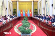 Việt Nam ngày càng khẳng định vai trò, trách nhiệm trong "ngôi nhà chung" Liên Hợp Quốc