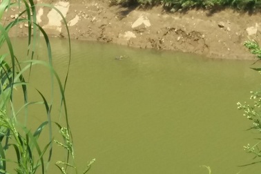 Tìm thấy thi thể người đàn ông sau nửa tháng bị lũ cuốn mất tích