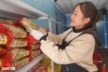 Kiếm hàng chục triệu đồng dịp Tết nhờ thứ kẹo nhỏ như viên bi