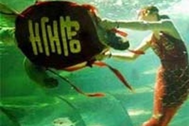 Tiệc thượng thọ cụ rùa 200 tuổi