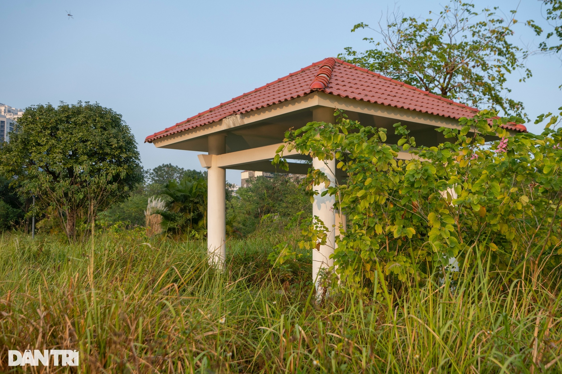 Hiện trạng công viên bỏ hoang bị Chủ tịch TP Hà Nội lệnh xong trước Tết - 10 Hiện trạng công viên bỏ hoang bị Chủ tịch TP Hà Nội lệnh xong trước Tết - 10