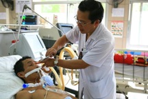 Phải làm gì khi bị rắn độc cắn?