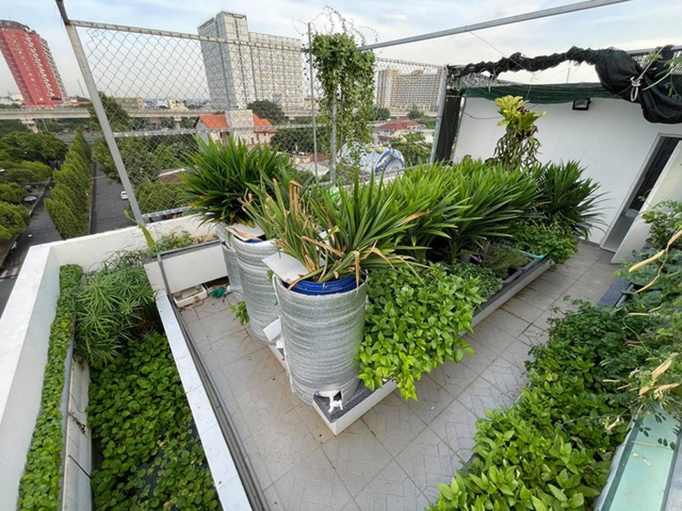 Những ông bố Việt đảm đang: Làm vườn trĩu cành, cá tung tăng trong sân - 3