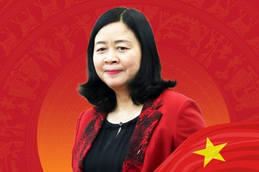 Chân dung nữ Ủy viên Bộ Chính trị duy nhất vừa được bầu bổ sung