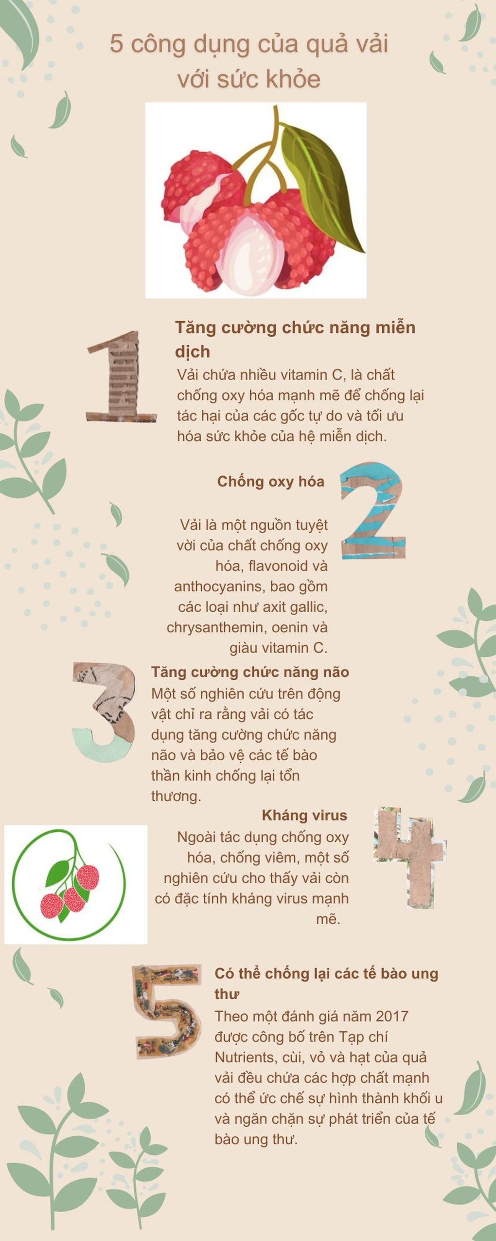 Cần biết 4 điều này khi cho trẻ ăn vải để tốt cho sức khỏe - 2 Cần biết 4 điều này khi cho trẻ ăn vải để tốt cho sức khỏe - 2