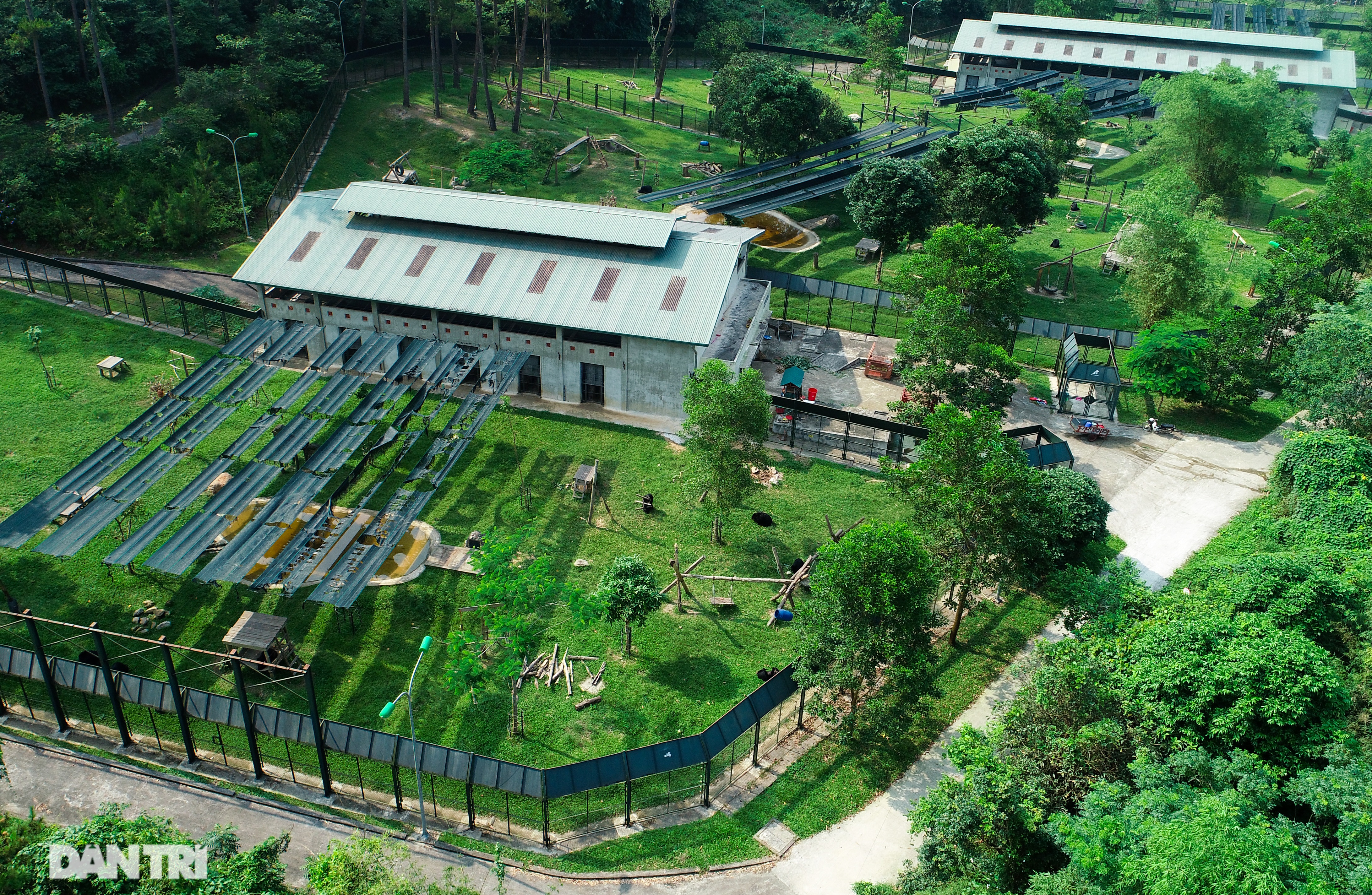 Cuộc sống ít người biết của gần 200 chú gấu tại thung lũng Chắt Dậu - 2 Cuộc sống ít người biết của gần 200 chú gấu tại thung lũng Chắt Dậu - 2