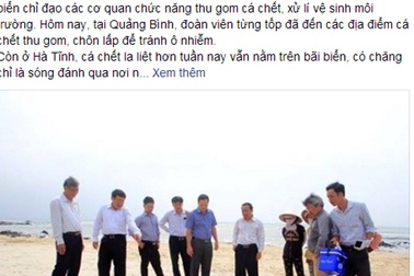Lãnh đạo tỉnh “tàng hình” trước thảm trạng cá chết đầy biển?
