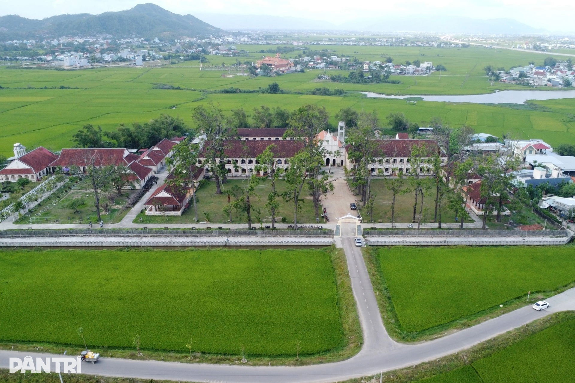 Hàng cây sao cổ thụ ở Tiểu chủng viện Làng Sông hồi sinh sau bão lịch sử - 5