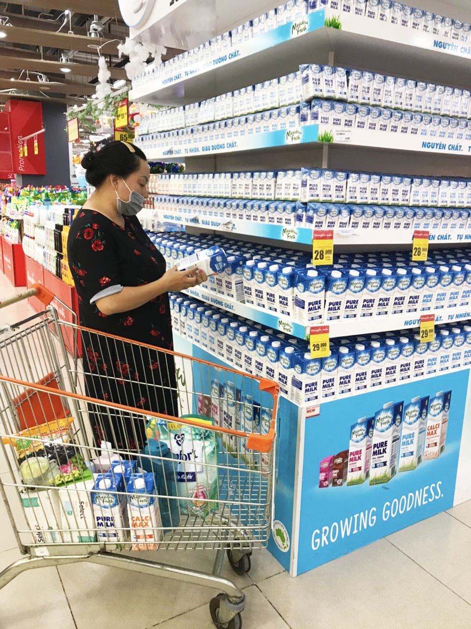 Sữa nhập khẩu: Sữa Úc và New Zealand được người Việt ưa chuộng - 3 Sữa nhập khẩu: Sữa Úc và New Zealand được người Việt ưa chuộng - 3