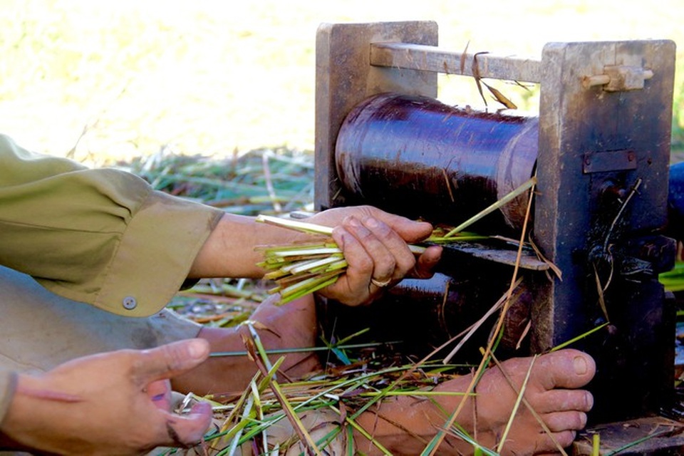 Vẻ đẹp thôn quê bình dị mùa thu hoạch cói ở ốc đảo Hồng Lam - 11