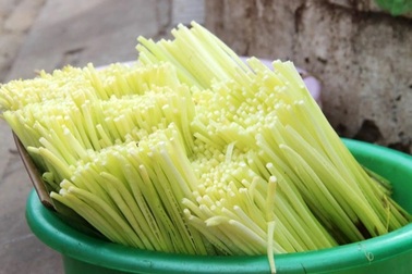 Độc lạ loài cỏ dại thành loại rau "hái ra tiền" của miền Tây