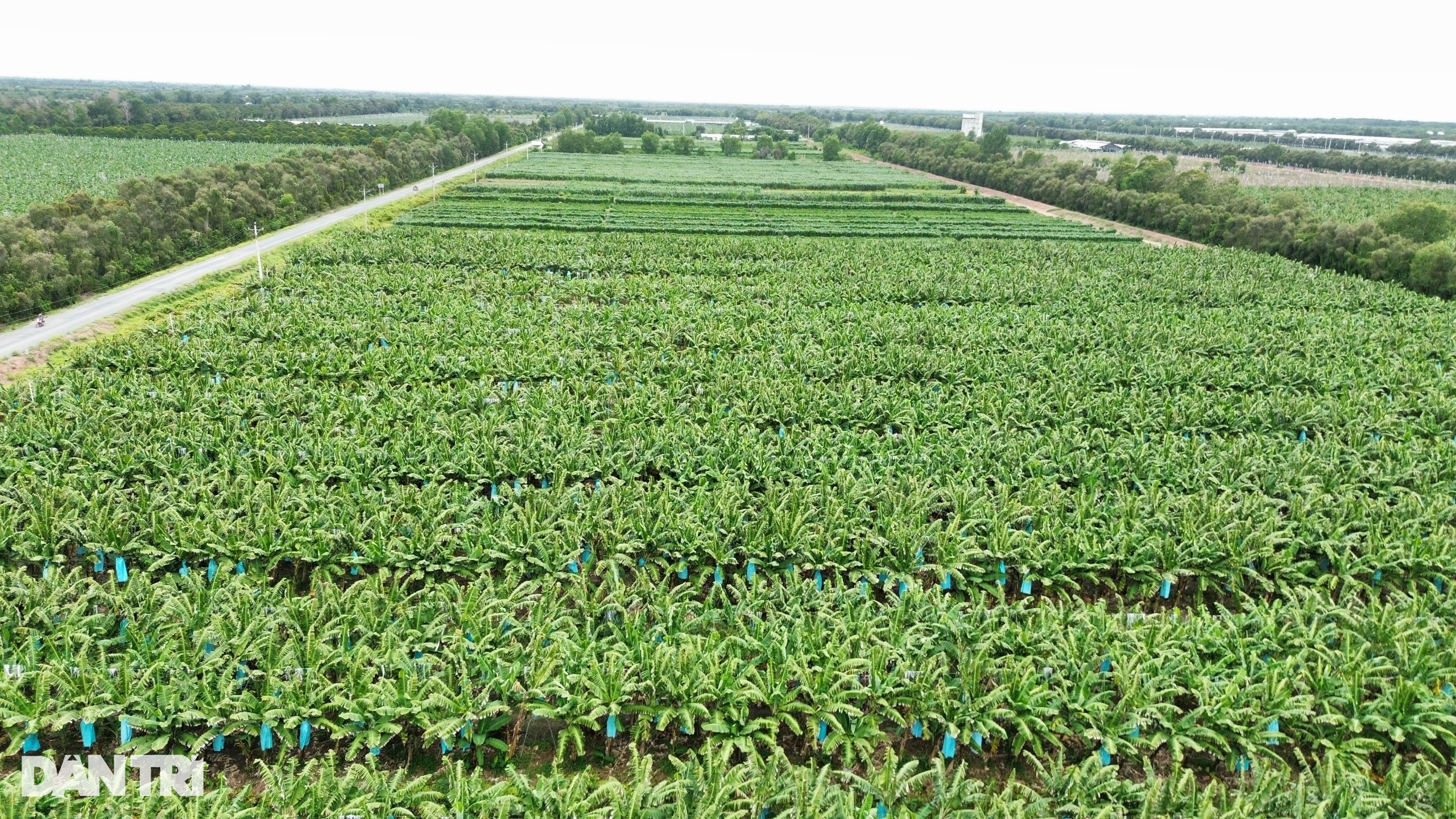 Từ cậu bé làm thuê đến cuộc trường chinh đổi vận thành vua đất miền Tây - 3 Từ cậu bé làm thuê đến cuộc trường chinh đổi vận thành vua đất miền Tây - 3