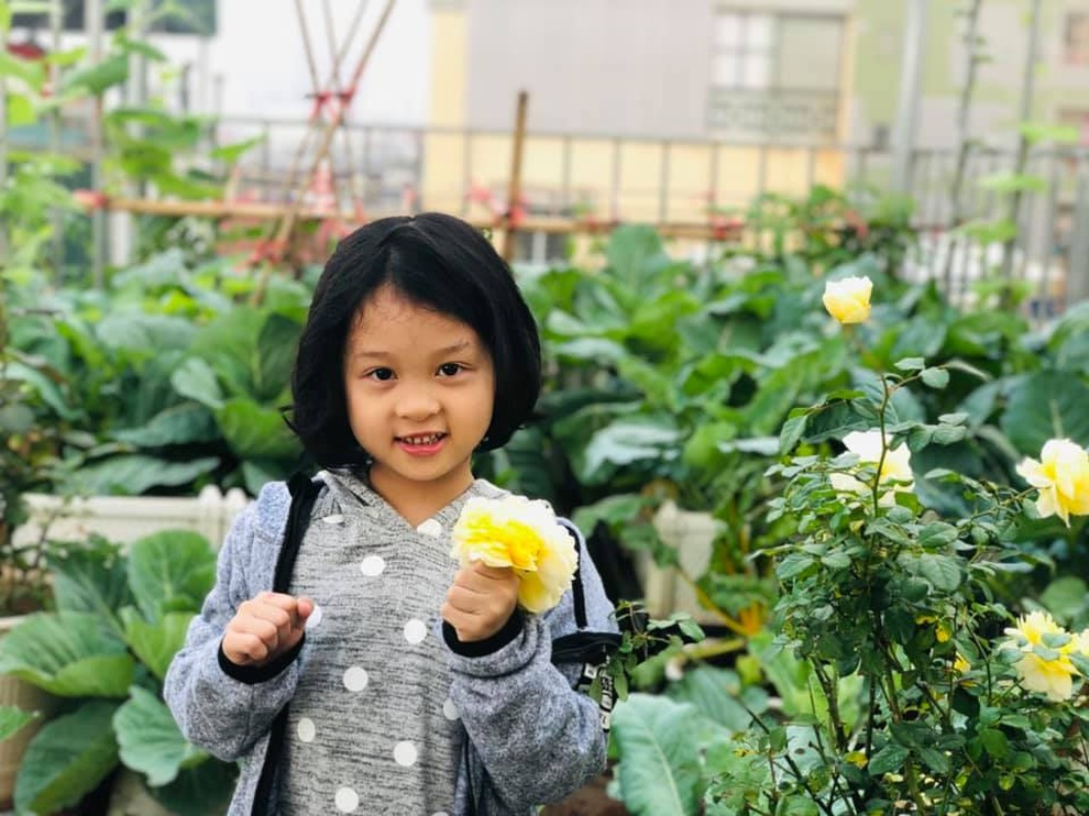 Vườn rau theo mô hình organic, dùng hệ thống tưới tự động của mẹ đảm Hà Nội - 8 Vườn rau theo mô hình organic, dùng hệ thống tưới tự động của mẹ đảm Hà Nội - 8