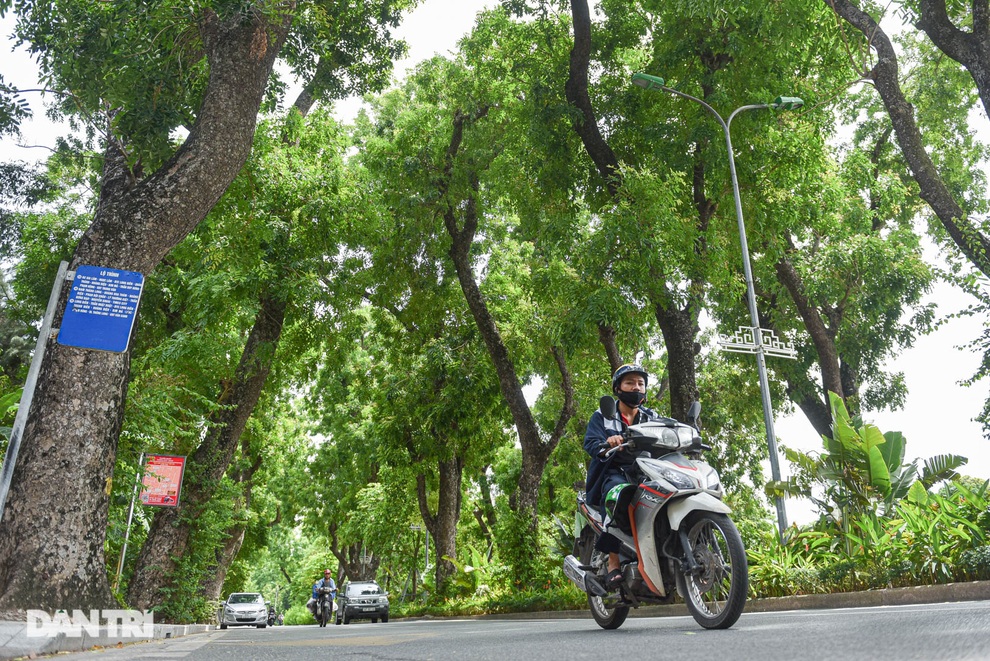 Những con đường giúp giải nhiệt giữa ngày nắng nóng ở Hà Nội - 2 Những con đường giúp giải nhiệt giữa ngày nắng nóng ở Hà Nội - 2