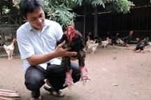 "Vua gà" Đông Tảo hé lộ bí quyết thu 3,5 tỉ đồng/năm