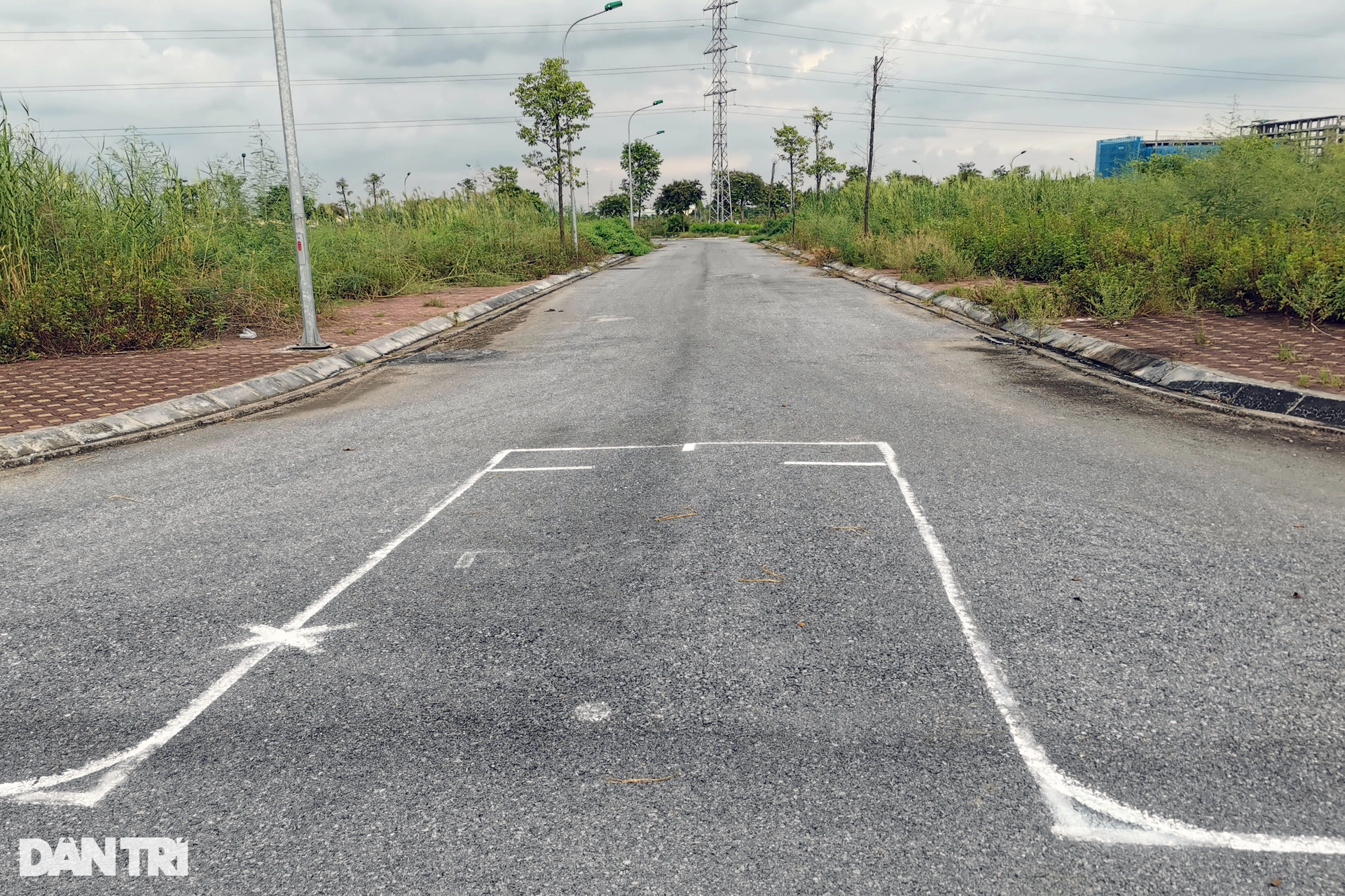 Khu đô thị gần 200ha ở Nam Định phần lớn bỏ hoang, thành nơi nuôi gia súc - 10 Khu đô thị gần 200ha ở Nam Định phần lớn bỏ hoang, thành nơi nuôi gia súc - 10
