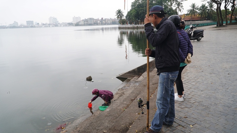 Chưa kịp chầu trời, cá vàng phóng sinh đã thảm hại dưới tay cần thủ - 9