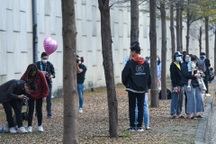 Mải chụp ảnh ở con đường lá vàng Hà Nội, du khách bị bẻ khóa, trộm xe