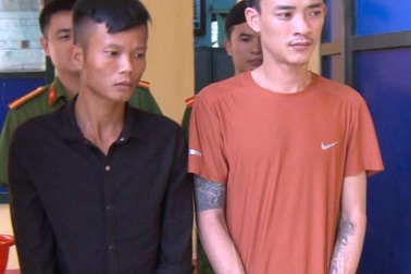 Giả vờ xin đi nhờ xe rồi cướp luôn