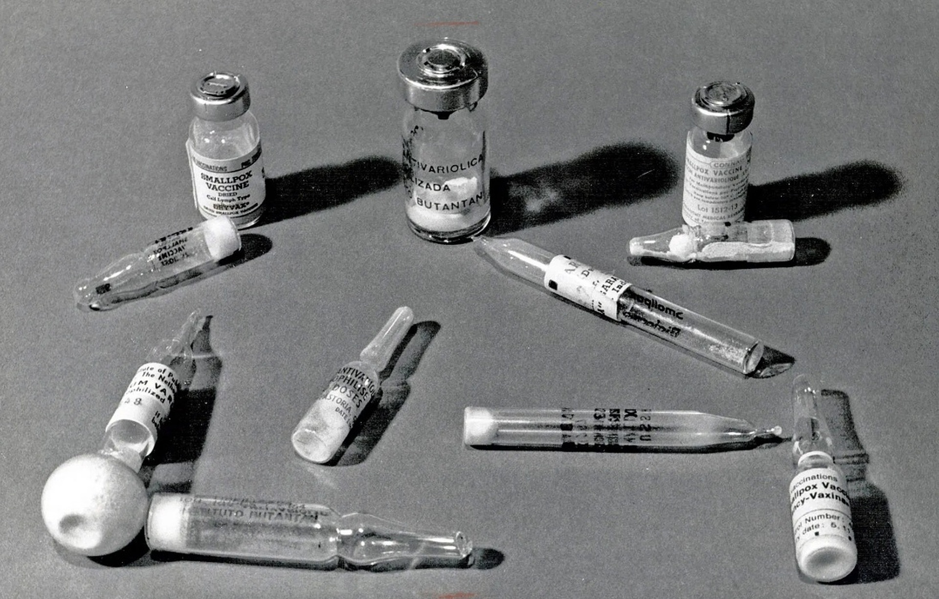 Vaccine made-in Vietnam: Những viên gạch đầu tiên và giấc mơ xuất khẩu - 2 Vaccine made-in Vietnam: Những viên gạch đầu tiên và giấc mơ xuất khẩu - 2