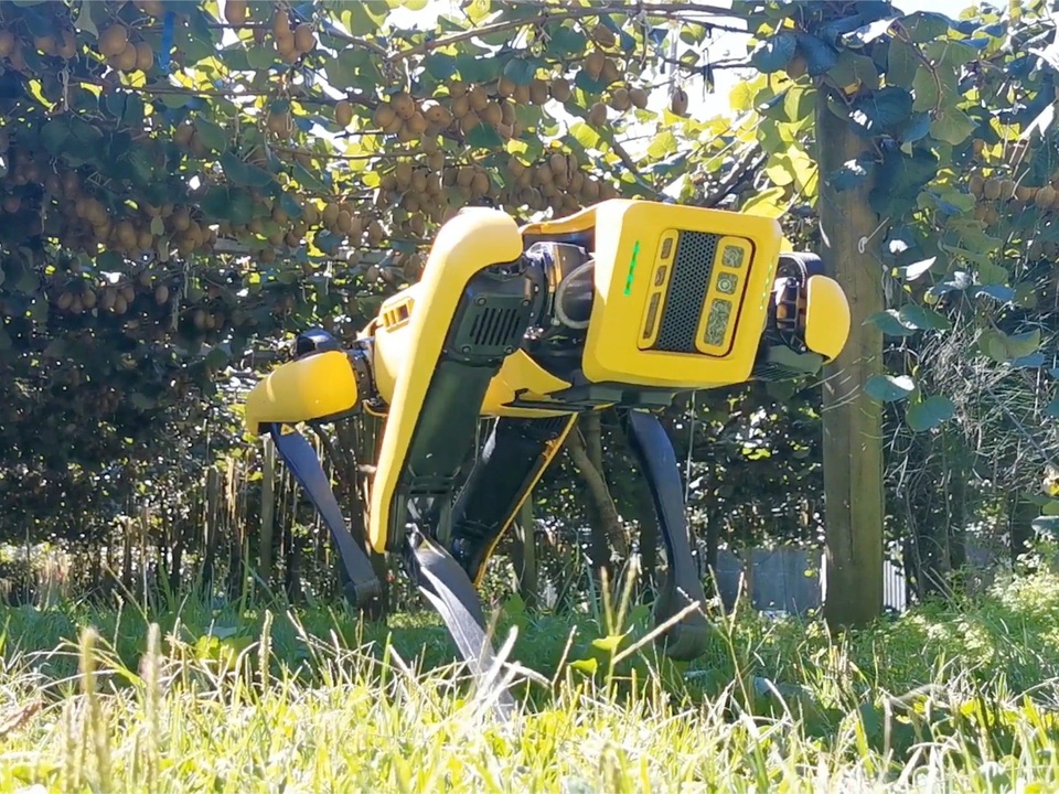 Khi chó chăn cừu là robot - 1 Khi chó chăn cừu là robot - 1