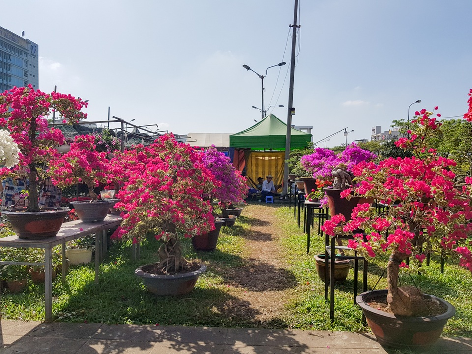 Du khách xúng xính “check-in” chợ hoa xuân Đà Nẵng - 1 Du khách xúng xính “check-in” chợ hoa xuân Đà Nẵng - 1