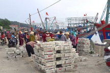 Hái "lộc biển" nơi cửa lạch