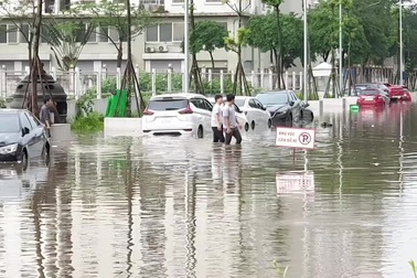 Hàng loạt ô tô "chìm" trong nước sau cơn mưa lớn