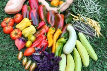 Đã mắt với vườn toàn "hoa thơm, trái ngọt" của cô gái bỏ phố về quê