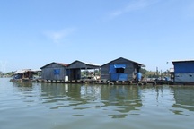 Xử phạt hai công ty xả thải ra hồ Trị An làm chết cá 